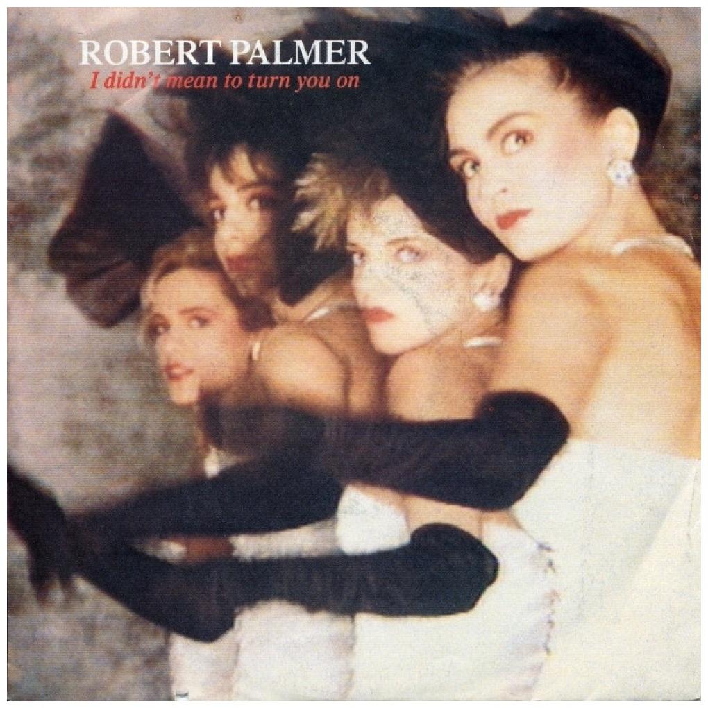 ROBERT PALMER - I DID'NT MEAN TO TURN YOU ON | 7" SINGLE USADO