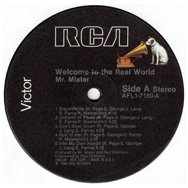 MR. MISTER - WELCOME TO THE REAL WORLD | VINILO USADO
