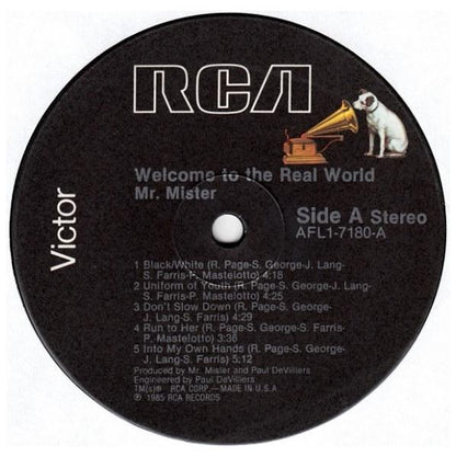 MR. MISTER - WELCOME TO THE REAL WORLD | VINILO USADO