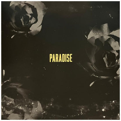 LANA DEL REY - PARADISE | VINILO