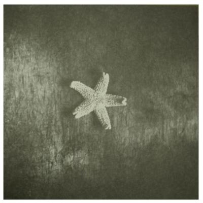 THE CHURCH - STARFISH | VINILO