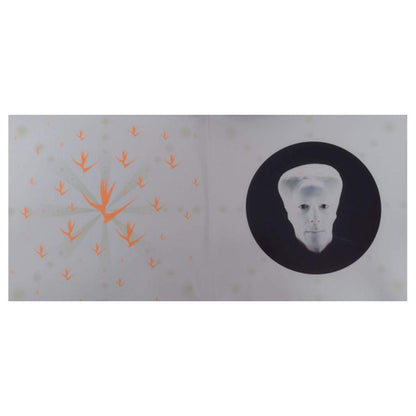 LUIS ALBERTO SPINETTA - ESTRELICIA UNPLUGGED (2LP) | VINILO