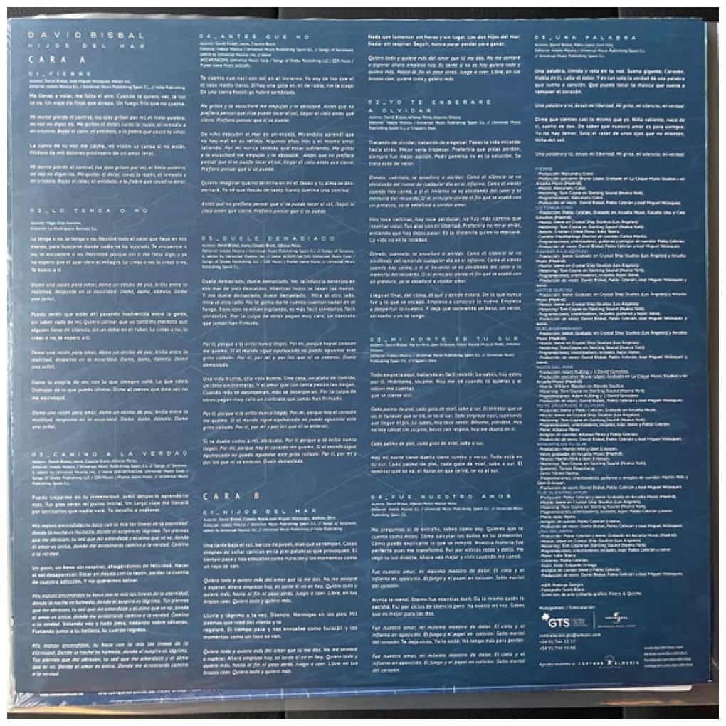 DAVID BISBAL - HIJOS DEL MAR | VINILO