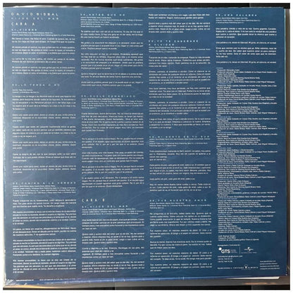 DAVID BISBAL - HIJOS DEL MAR | VINILO