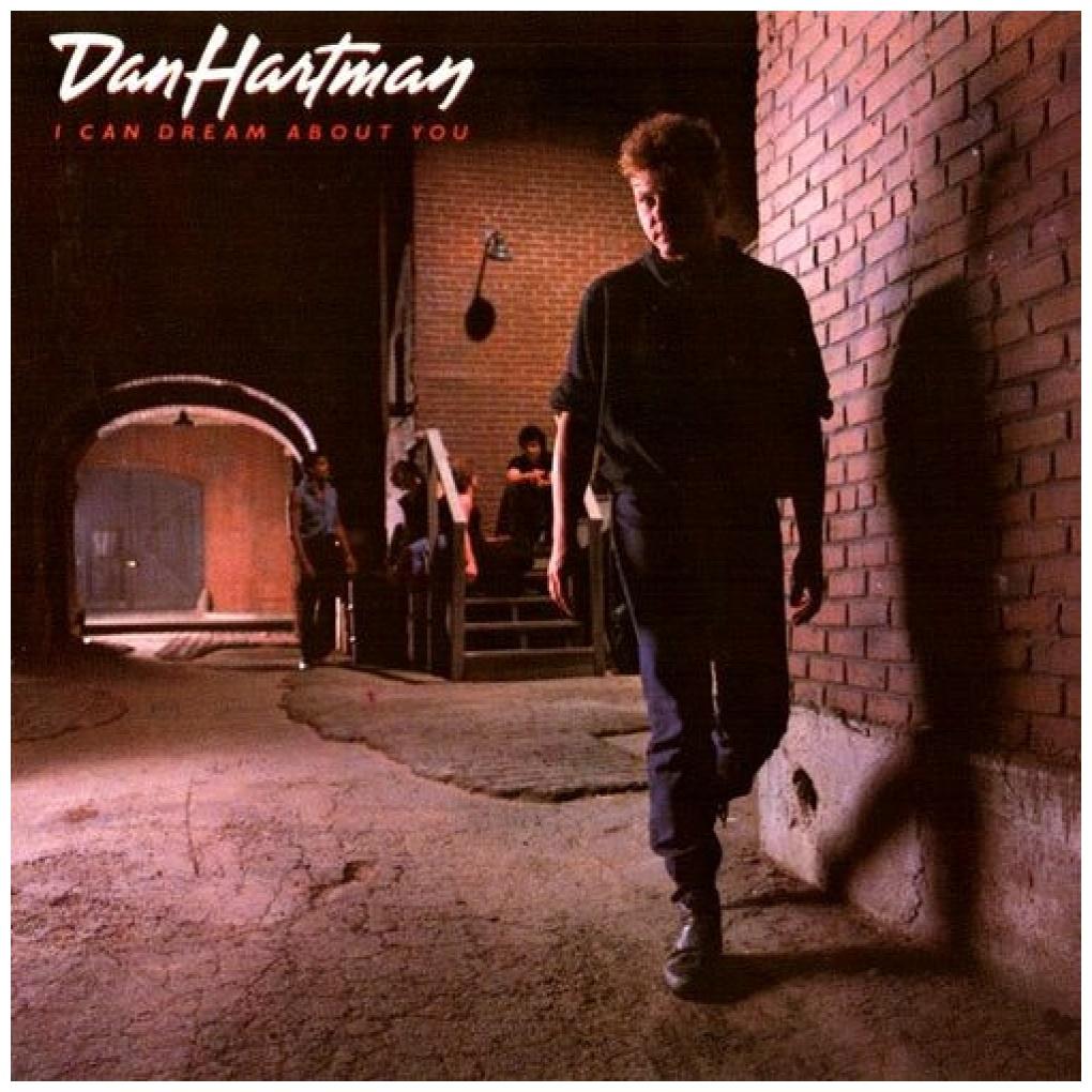 DAN HARTMAN - I CAN DREAM ABOUT YOU (VDE NUEVO/SELLADO) | VINILO USADO