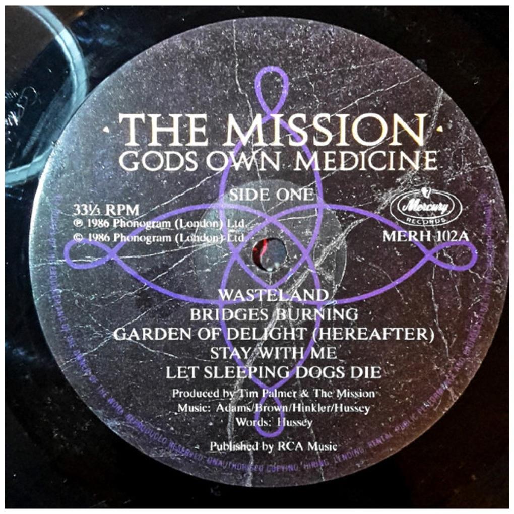 THE MISSION - GODS OWN MEDICINE | VINILO USADO