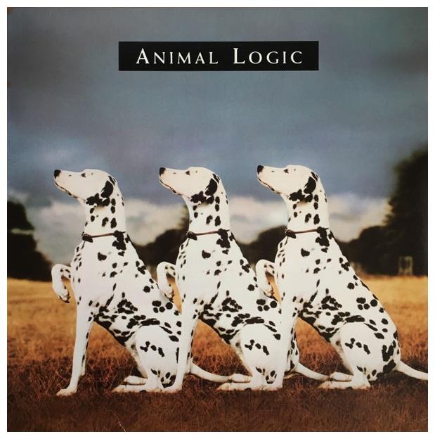 ANIMAL LOGIC - ANIMAL LOGIC | VINILO USADO
