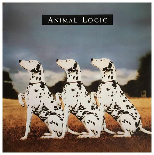 ANIMAL LOGIC - ANIMAL LOGIC | VINILO USADO
