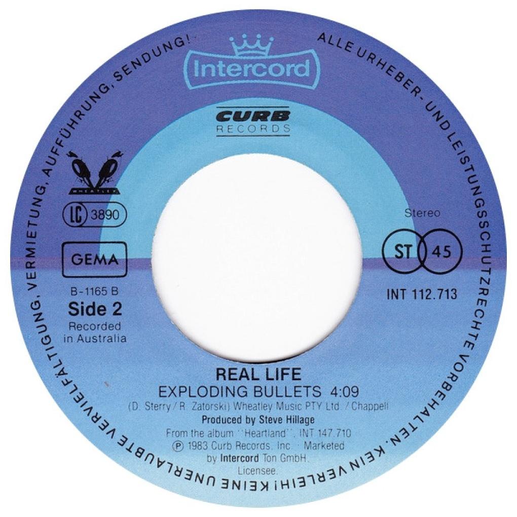 REAL LIFE - CATCH ME I'M FALLING | 7" SINGLE USADO