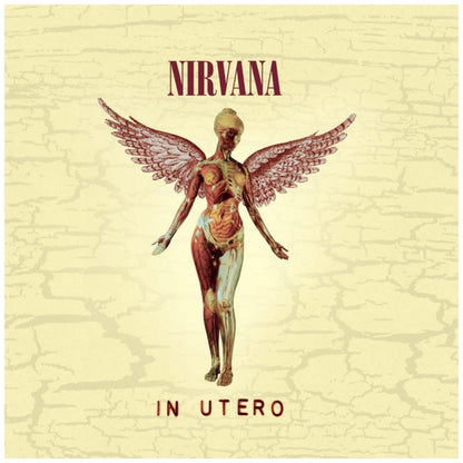 NIRVANA - IN UTERO (2CD) | CD