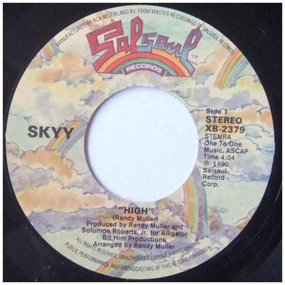 SKYY - HIGH | 7" SINGLE USADO