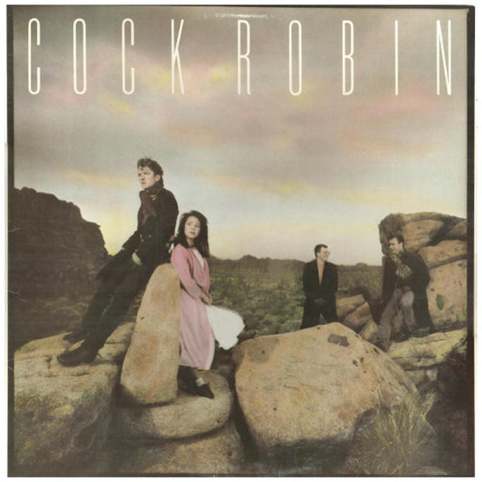 COCK ROBIN - COCK ROBIN | 7" SINGLE USADO