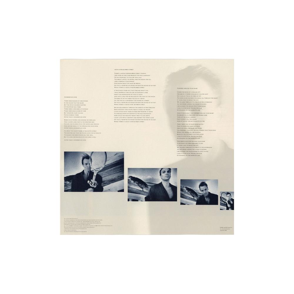 STING - THE DREAM OF THE BLUE TURTLES  | VINILO USADO