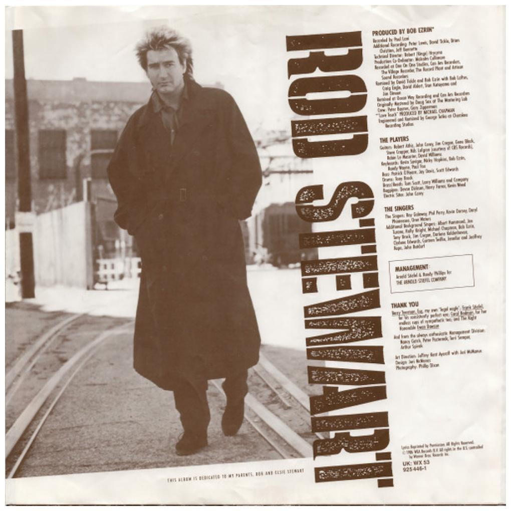 ROD STEWARD - ROD STEWARD | VINILO USADO