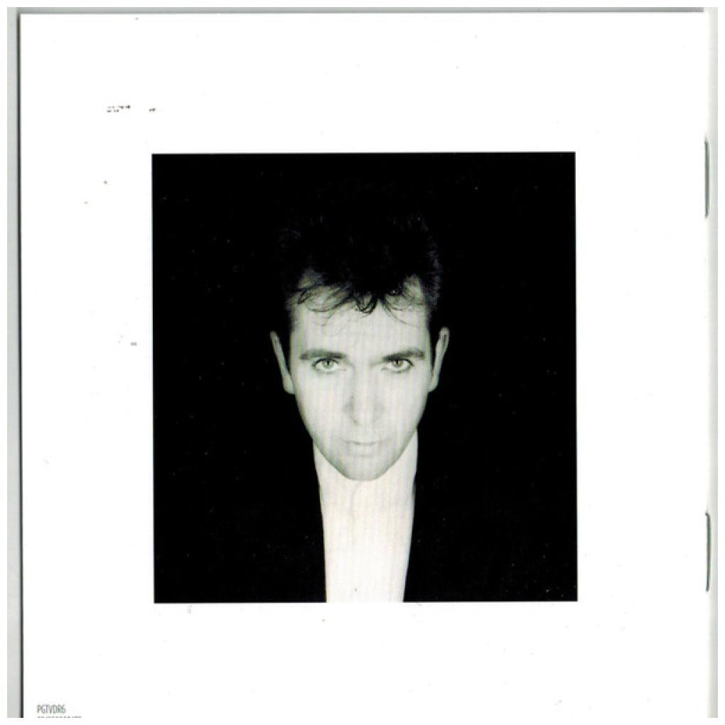 PETER GABRIEL  - SHAKING THE TREE: 6 GOLDEN GREATS | CD