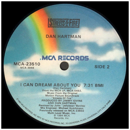 DAN HARTMAN - I CAN DREAM ABOUT YOU (PROMO COPY) | 12'' MAXI SINGLE USADO