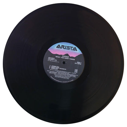 EXPOSE - WHAT YOU DONT KNOW | 12 MAXI SINGLE USADO