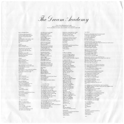 DREAM ACADEMY - THE DREAM ACADEMY | VINILO USADO