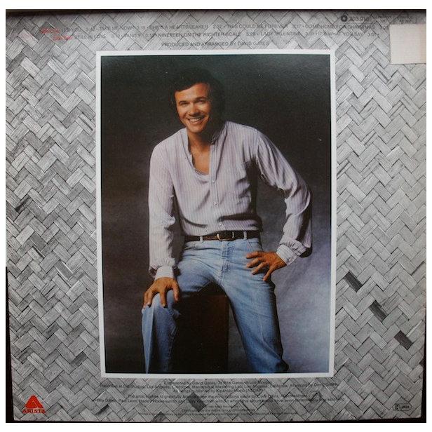 DAVID GATES - TAKE ME NOW | VINILO USADO