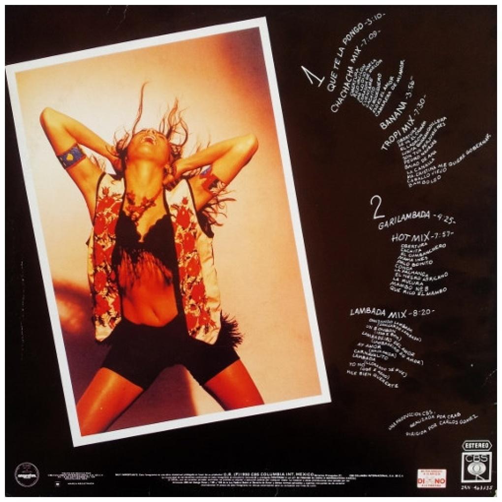 GARIBALDI - QUE TE LA PONGO | VINILO USADO