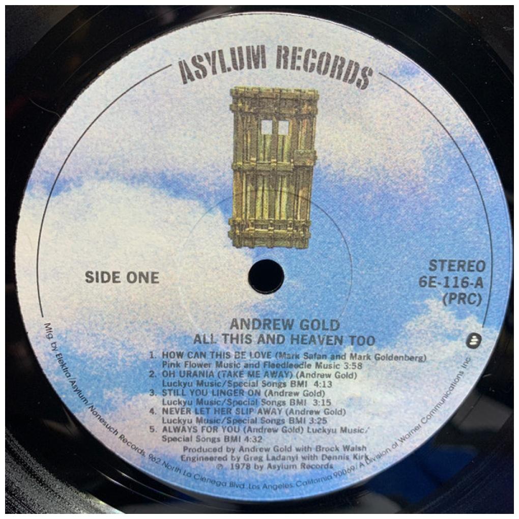 ANDREW GOLD - ALLTHIS AND HEAVEN TOO | VINILO USADO