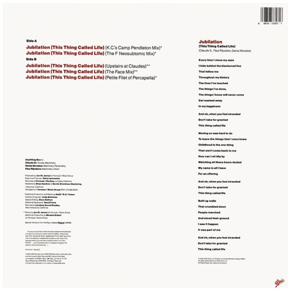 ANYTHING BOX - JUBILATION (THIS THING CALLED LIFE) | 12'' MAXI SINGLE USADO