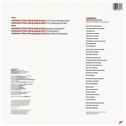 ANYTHING BOX - JUBILATION (THIS THING CALLED LIFE) | 12'' MAXI SINGLE USADO
