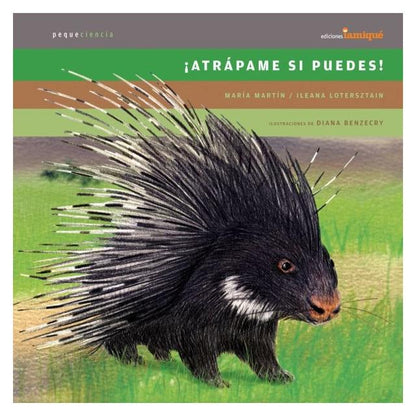 ATRÁPAME SI PUEDES (CARTONÉ) - MARÍA MARTÍN; ILEANA LOTERSZTAIN | LIBRO