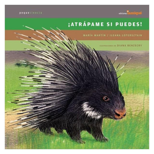 ATRÁPAME SI PUEDES (CARTONÉ) - MARÍA MARTÍN; ILEANA LOTERSZTAIN | LIBRO