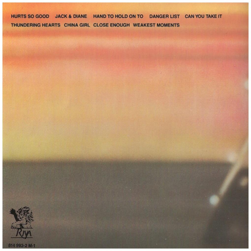 JOHN COUGAR - AMERICAN FOOL | CD USADO