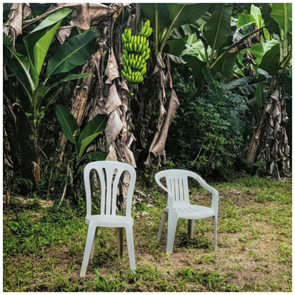 BAD BUNNY - DEBI TIRAR MAS FOTOS (2LP) (WHITE VINYL) | VINILO