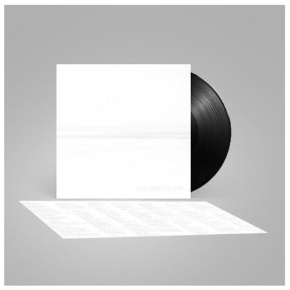 FOO FIGHTERS - BUT HERE WE ARE | VINILO