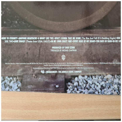 ROD STEWARD - ROD STEWARD | VINILO USADO
