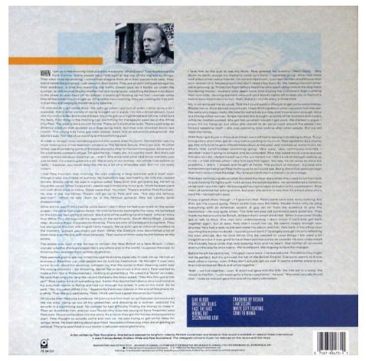 PETE  TOWNSHEND - WHITE CITY  | VINILO USADO