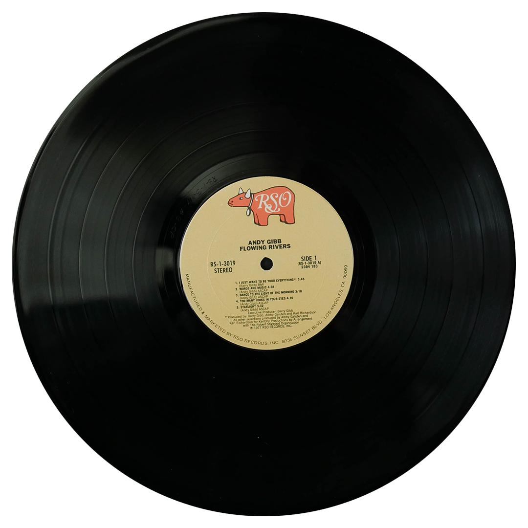 ANDY GIBB - FLOWING RIVERS | VINILO USADO