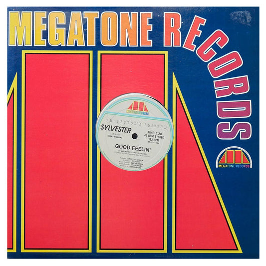 SYLVESTER - CALL ME (REMIX)/GOOD FEELIN  | 12" MAXI SINGLE USADO