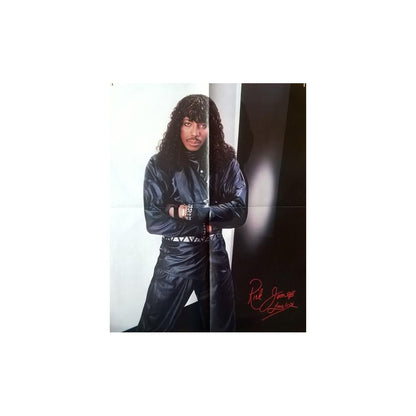 RICK JAMES - REFLECTIONS: GREATEST HITS (INC. POSTER) | VINILO USADO