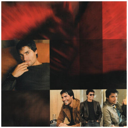 CHAYANNE - GRANDES EXITOS | CD
